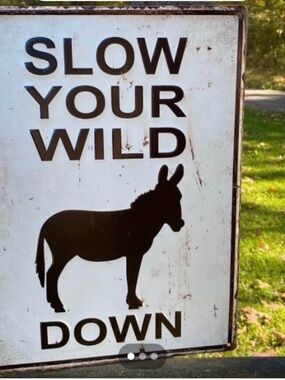 Rustic 'Slow Your Wild Down' Donkey Metal Sign - Black on White